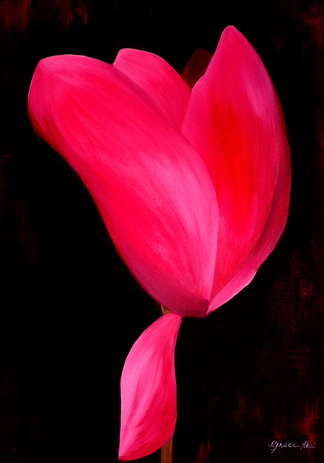 Absi Grace Cyclamen 2 oil painting on Canvas