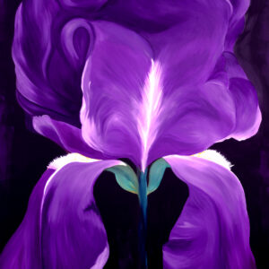 Grace Absi, Iris, Giclee Pencil Signed & Numbered