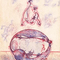 Max Ernst Lithograph from XXe siecle