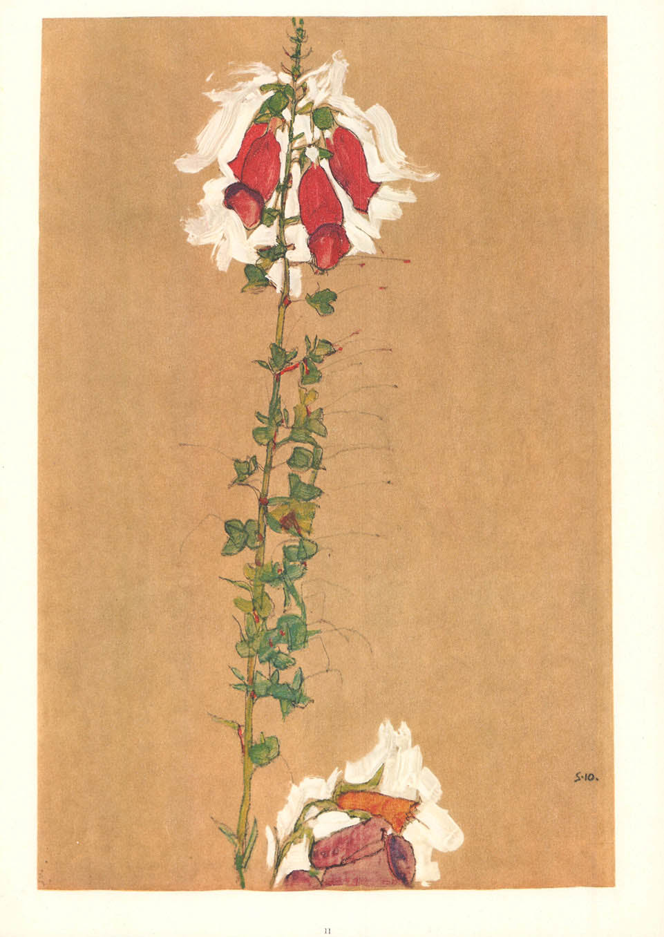 1968 Egon Schiele Lithograph 11 - Red Foxglove