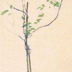 Egon Schiele Lithograph 28, Young Tree 1968