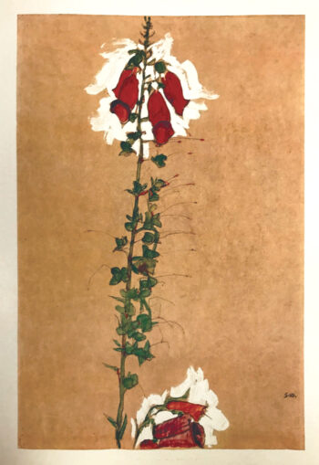 1968 Egon Schiele Lithograph 11 - Red Foxglove