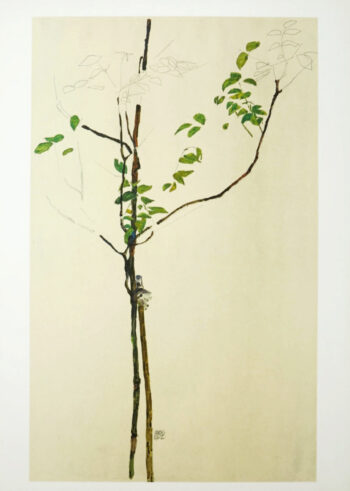 Egon Schiele Lithograph 28, Young Tree 1968