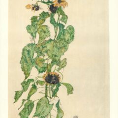Egon Schiele Lithograph 51, Sunflower 1968