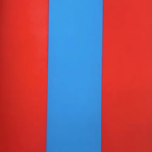 1964 Ellsworth Kelly Original Lithograph Derriere le Miroir DM03149L