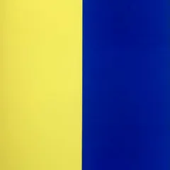 1964 Ellsworth Kelly Original Lithograph Derriere le Miroir DM06149L