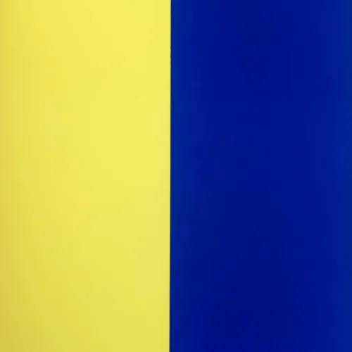 1964 Ellsworth Kelly Original Lithograph Derriere le Miroir DM06149L