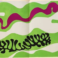 1983 Matisse Lithograph 18 jazz The Lagoon 2