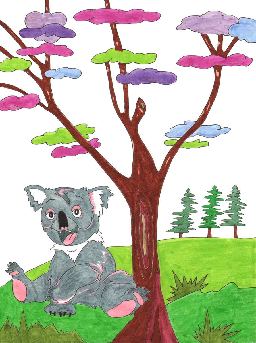 Grace Absi Colored drawing Koala