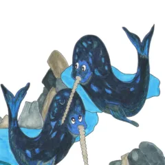 Grace Absi Colored drawing Narwhal