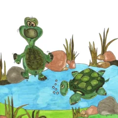 Grace Absi colored drawing Turtle