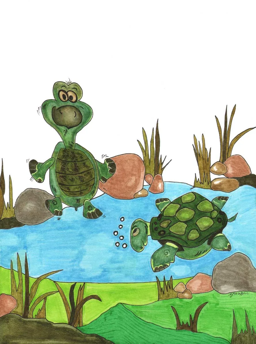 Grace Absi colored drawing Turtle