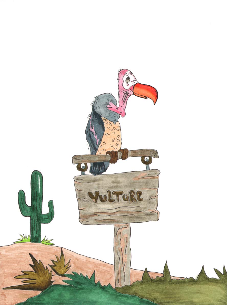 Grace Absi Colored Drawing Vulture
