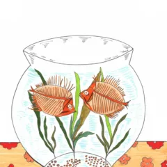 Grace Absi colored drawing Xray fish