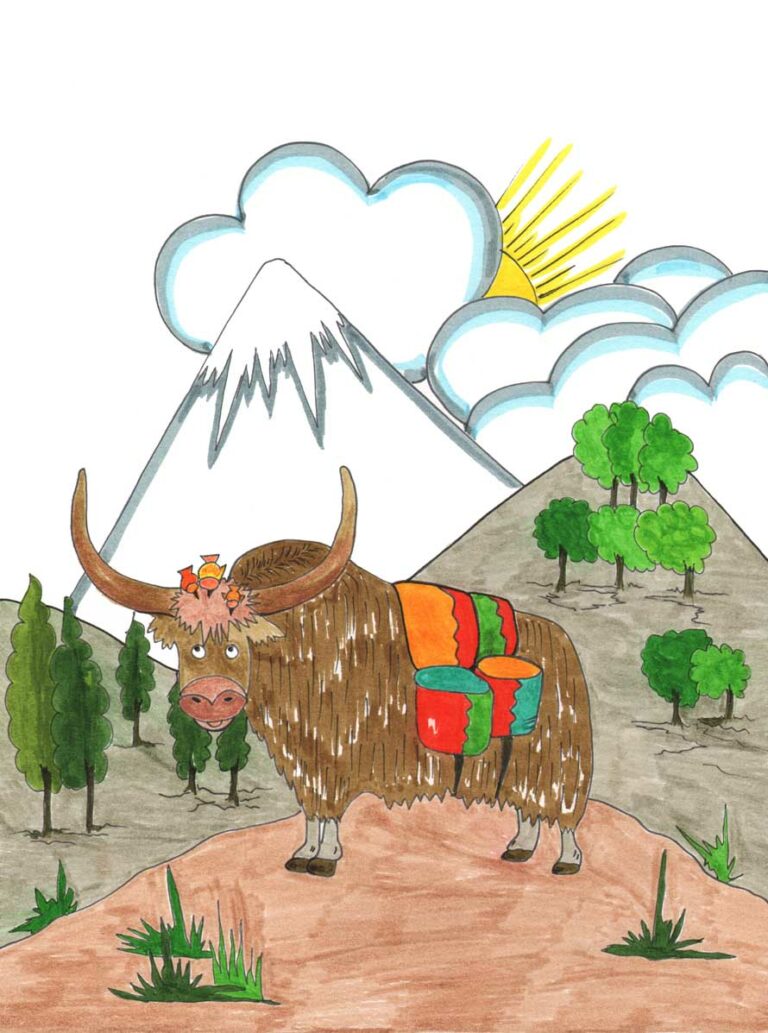 Grace Absi Colored Drawing The Yak