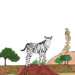 Grace Absi Colord Drawing Zebra