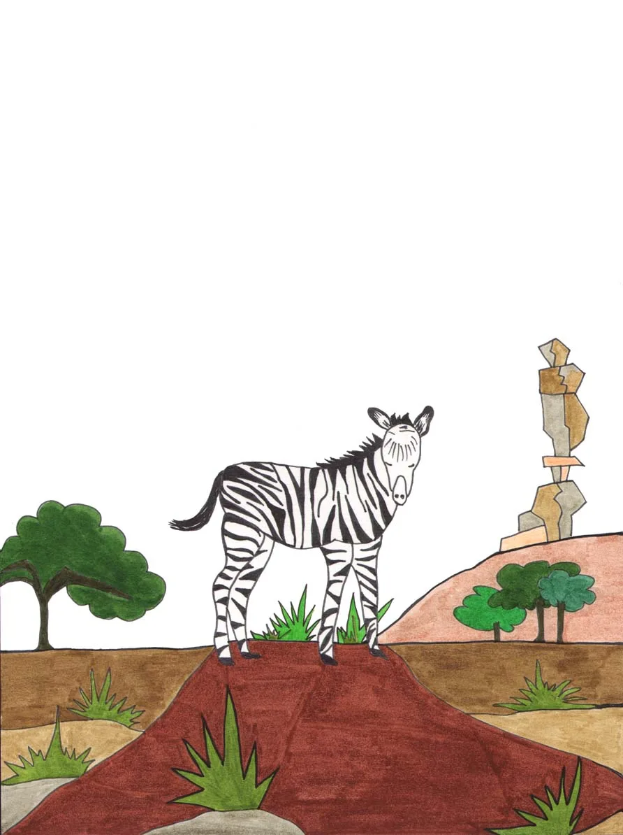 Grace Absi Colord Drawing Zebra