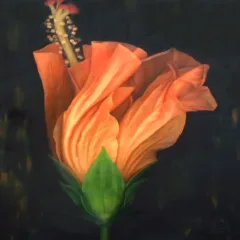 Grace Absi 2001 Oil Painting on Canvas Young Hibiscus