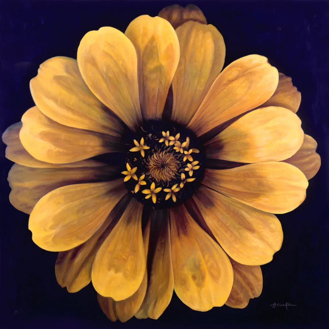 Grace Absi Zinnia 2000 Oil Painting on Canvas