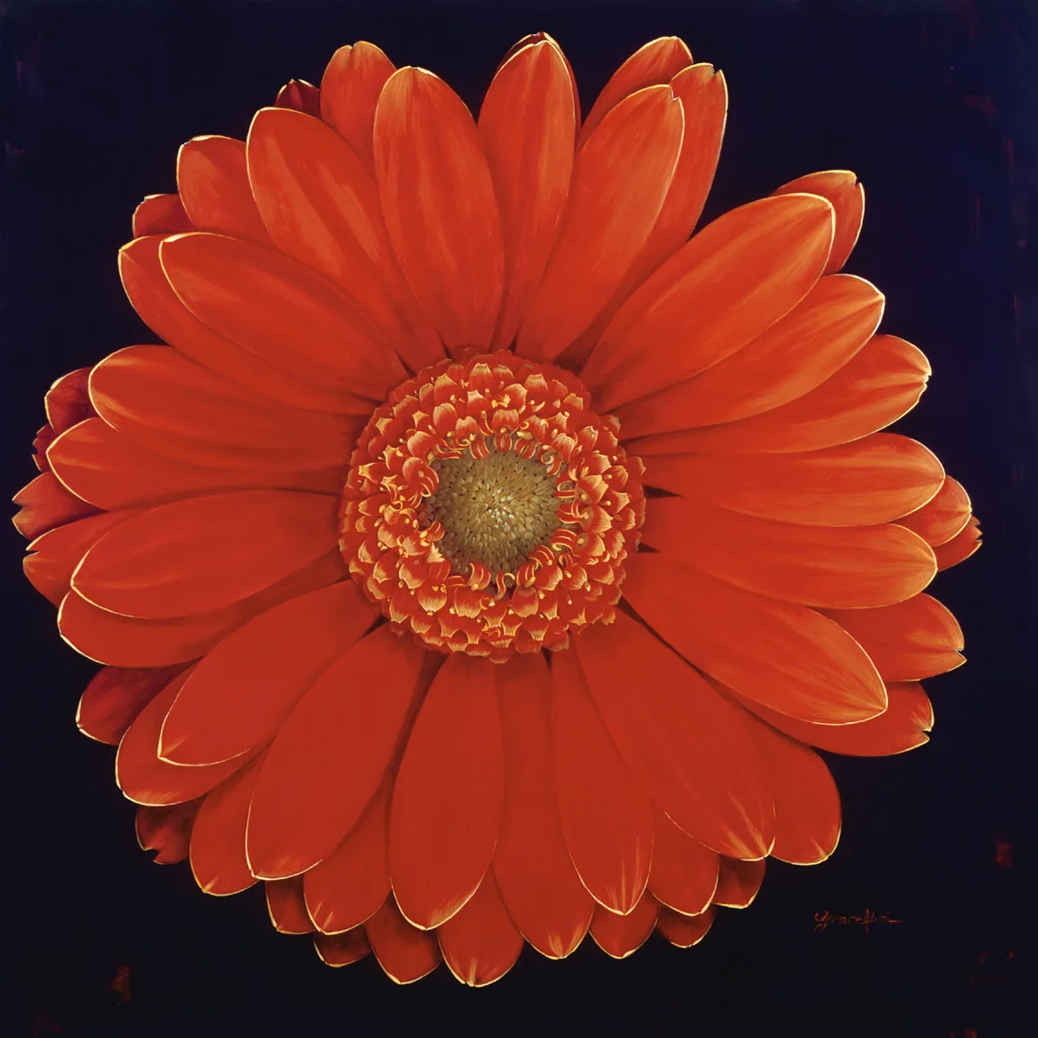 Grace Absi Daisy 2001 Oil Painting on Canvas