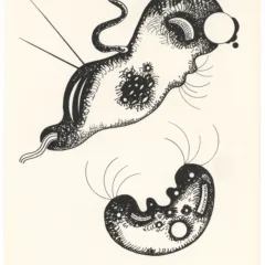 Kandinsky Lithograph XXe Siele 1957