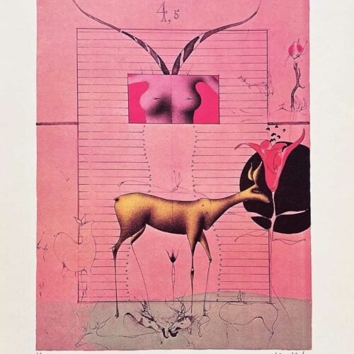 Paul Wunderlich 34 Comme Deux Jeunes Faons