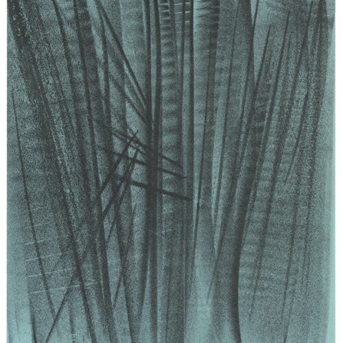 Hans Hartung original lithograph from xxe siecle 24 1964