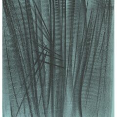 Hans Hartung original lithograph from xxe siecle 24 1964
