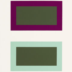 2009 Josef Albers The Interaction of Color Plate IV-1 bis