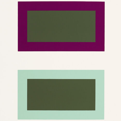 2009 Josef Albers The Interaction of Color Plate IV-1 bis
