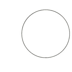 Ellsworth Kelly Linogravure Circle line Line Form Color