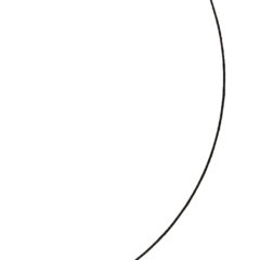 Ellsworth Kelly Linogravure Curve line Line Form Color