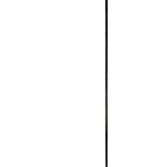 Ellsworth Kelly Linogravure Vertical line Line Form Color