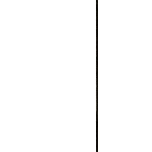 Ellsworth Kelly Linogravure Vertical line Line Form Color