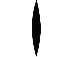 Ellsworth Kelly Set of four Linogravures Line Form Color 4