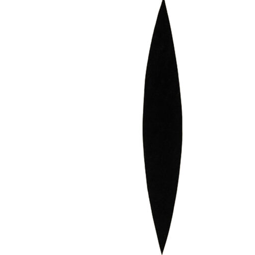 Ellsworth Kelly Set of four Linogravures Line Form Color 4