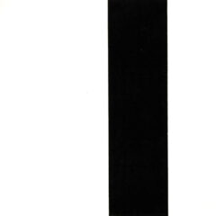 Ellsworth Kelly Linogravure Vertical band Line Form Color