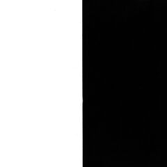 Ellsworth Kelly Linogravure White and black Line Form Color