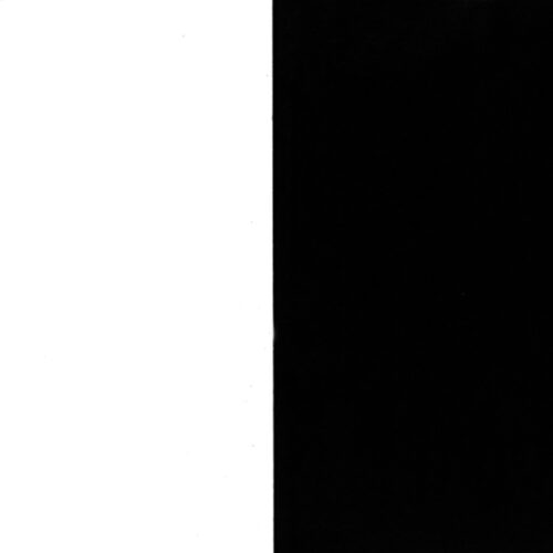 Ellsworth Kelly Linogravure White and black Line Form Color