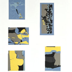 Josef Albers The Interaction of Color Plate XVIII-12