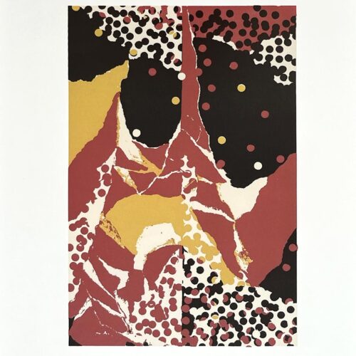 2009 Josef Albers The Interaction of Color Plate XVIII-13