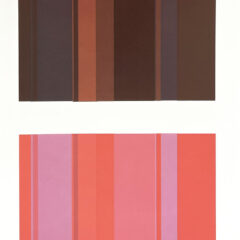 2009 Josef Albers The Interaction of Color Plate XVIII-10