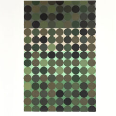 2009 Josef Albers The Interaction of Color Plate XVIII-2