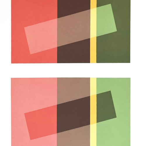 2009 Josef Albers The Interaction of Color Plate XVII-1