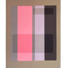 2009 Josef Albers The Interaction of Color Plate XVII-2