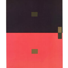 2009 Josef Albers The Interaction of Color Plate VII-4
