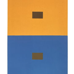 2009 Josef Albers The Interaction of Color Plate IV-3