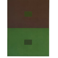 2009 Josef Albers The Interaction of Color Plate IV-4