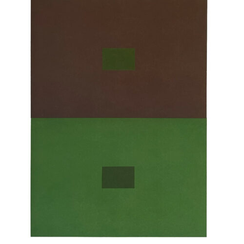 2009 Josef Albers The Interaction of Color Plate IV-4