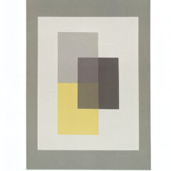 2009 Josef Albers The Interaction of Color Plate IX-2